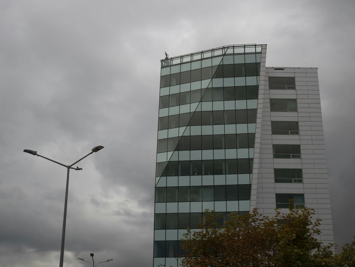 Fred Luz executivo